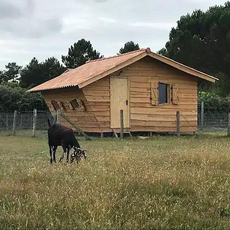 Gite - La Ferme A La Plage Le Porge Buitenkant foto
