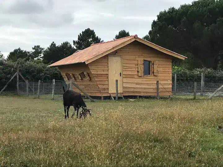 Gite - La Ferme A La Plage Le Porge Buitenkant foto