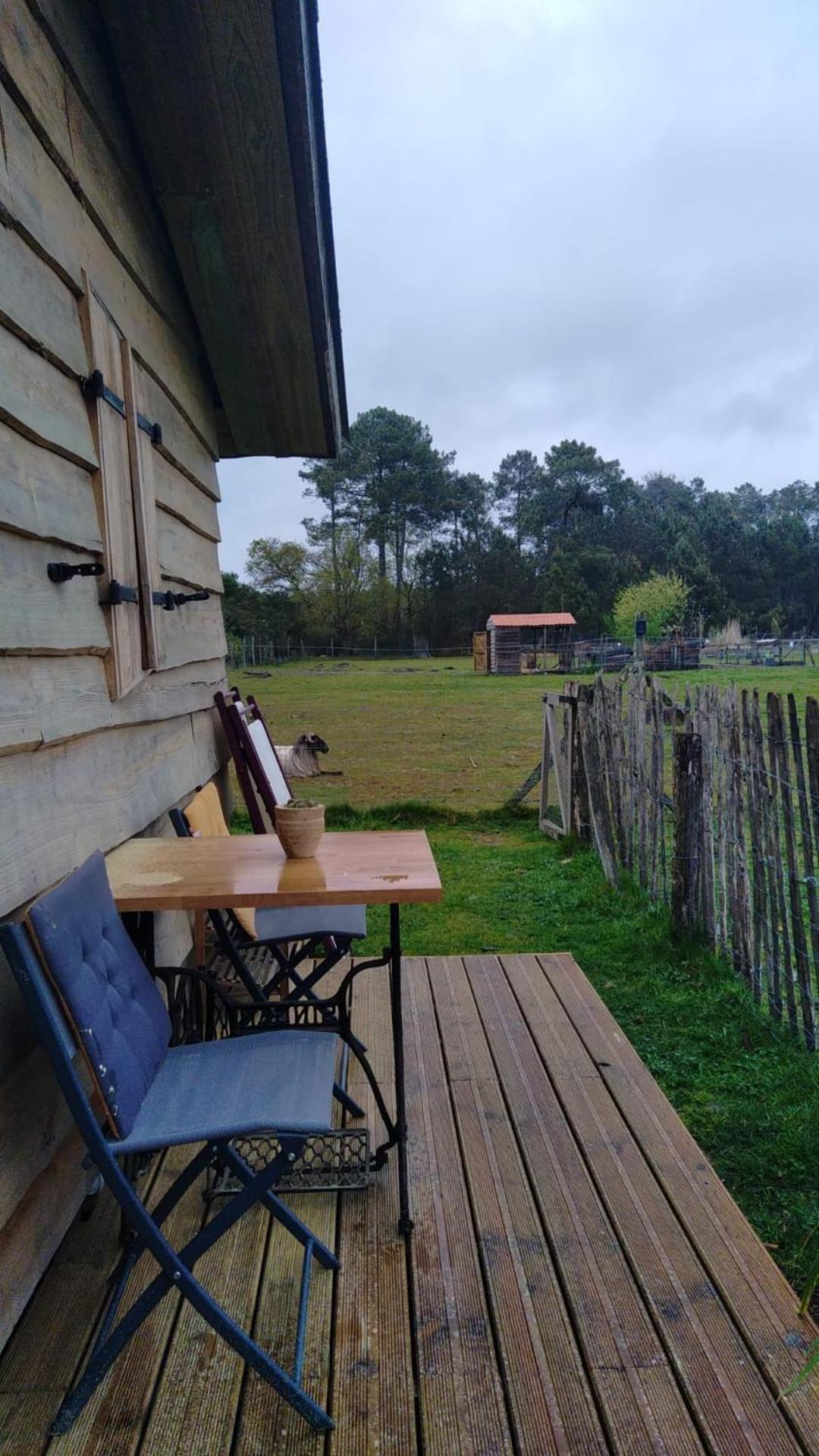 Gite - La Ferme A La Plage Le Porge Buitenkant foto